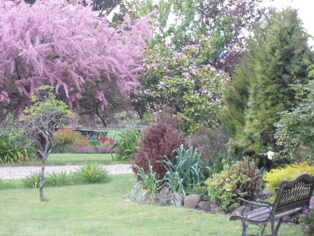 Roslyn House Bed & Breakfast Bushy Park Bagian luar foto