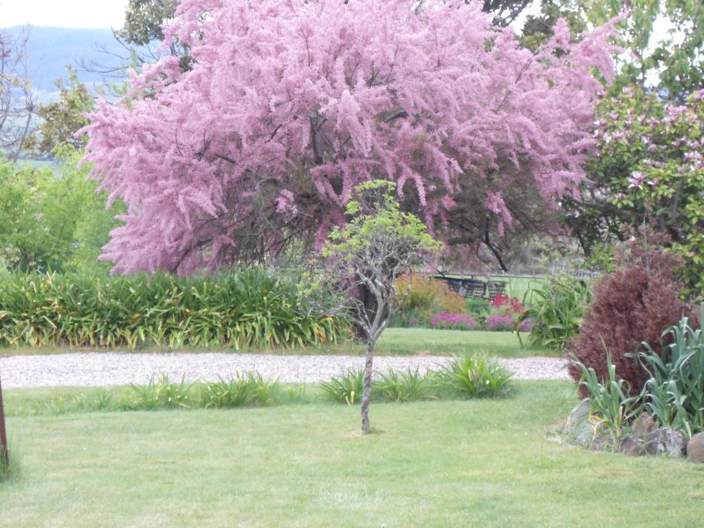 Roslyn House Bed & Breakfast Bushy Park Bagian luar foto
