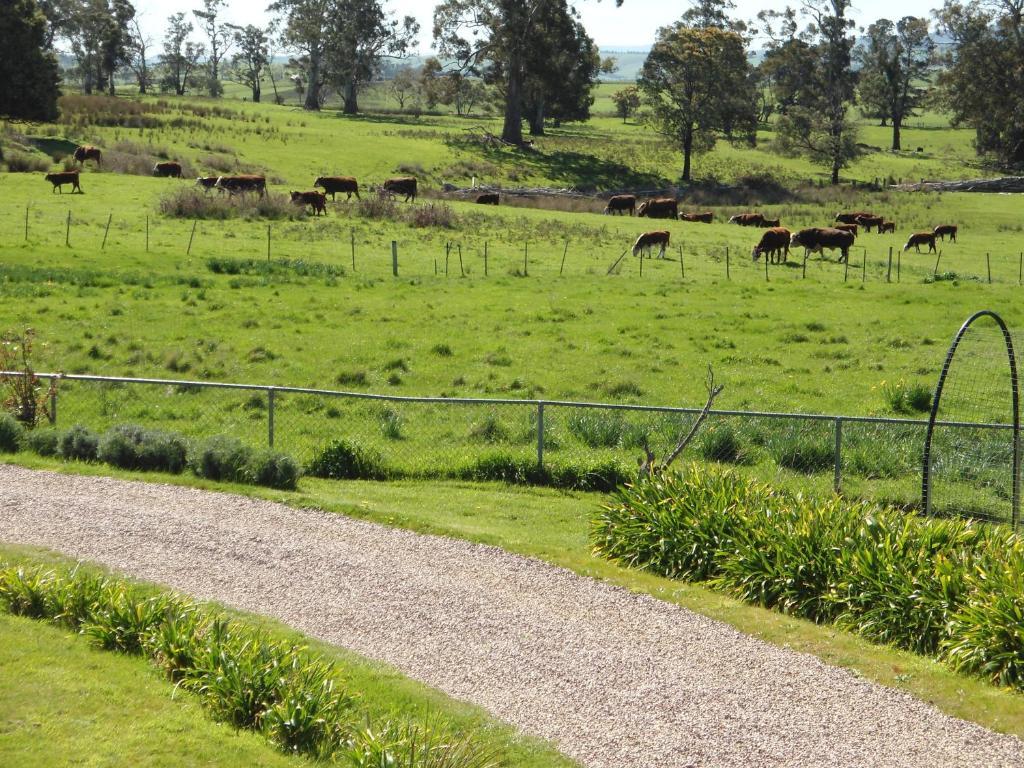 Roslyn House Bed & Breakfast Bushy Park Bagian luar foto